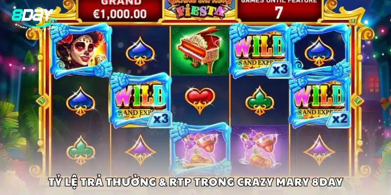 Tỷ lệ trả thưởng & RTP trong Crazy Mary 8Day