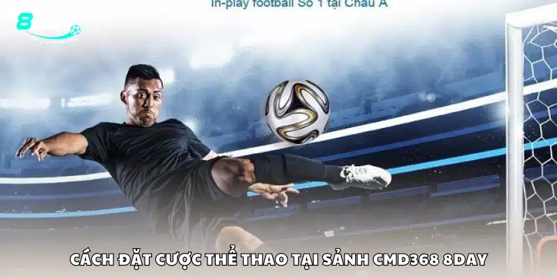 Các bước đặt cược môn thể thao trong sảnh CMD 368