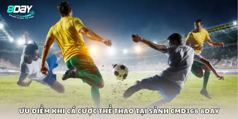 Lý do nên chọn CMD 368 để chơi kèo thể thao