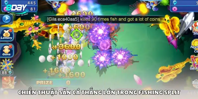 Chiến thuật săn cá thắng lớn trong Fishing Split
