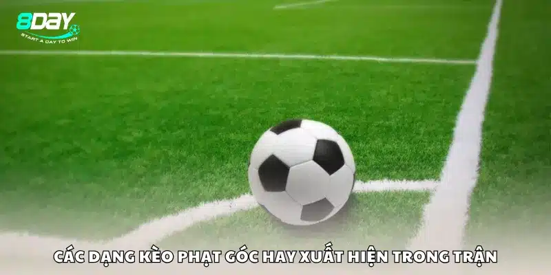 Các dạng kèo phạt góc hay xuất hiện trong trận