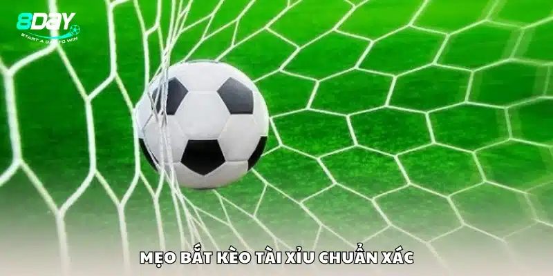 Bí kíp đọc kèo tài xỉu đúng cách cho người mới 