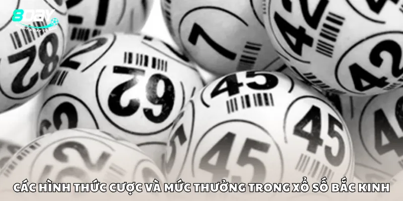 Các hình thức cược và mức thưởng trong xổ số Bắc Kinh